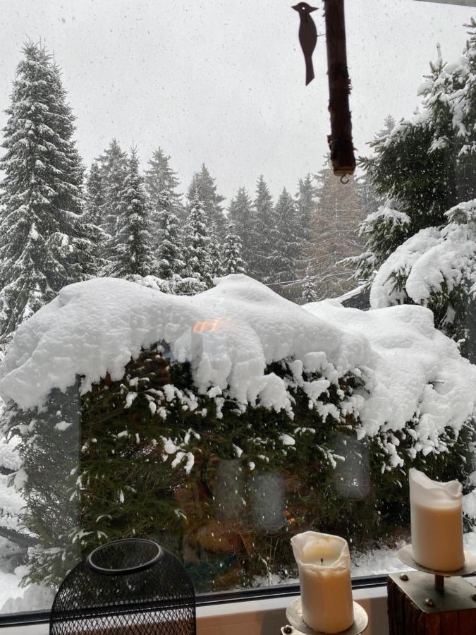 Schoenwald Waldchalet Am Musenberg Stryck ภายนอก รูปภาพ