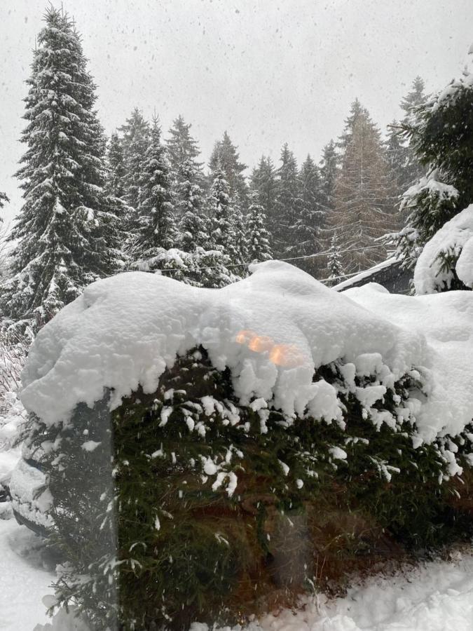 Schoenwald Waldchalet Am Musenberg Stryck ภายนอก รูปภาพ
