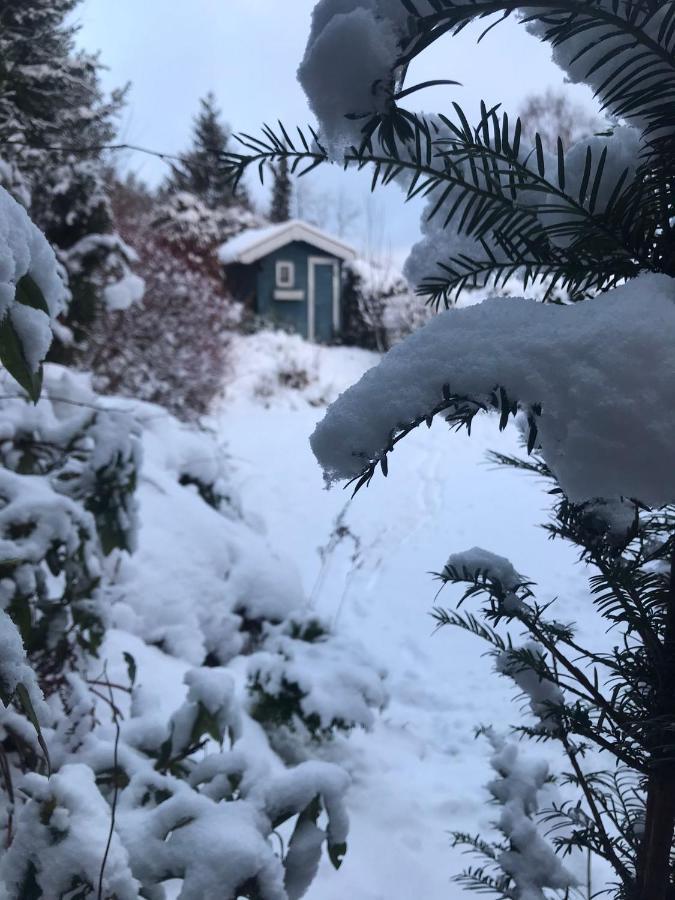 Schoenwald Waldchalet Am Musenberg Stryck ภายนอก รูปภาพ